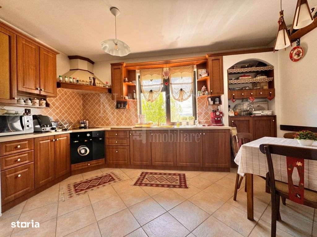 Casa 5 camere de vanzare in Salicea - Imagine principală: 5/14