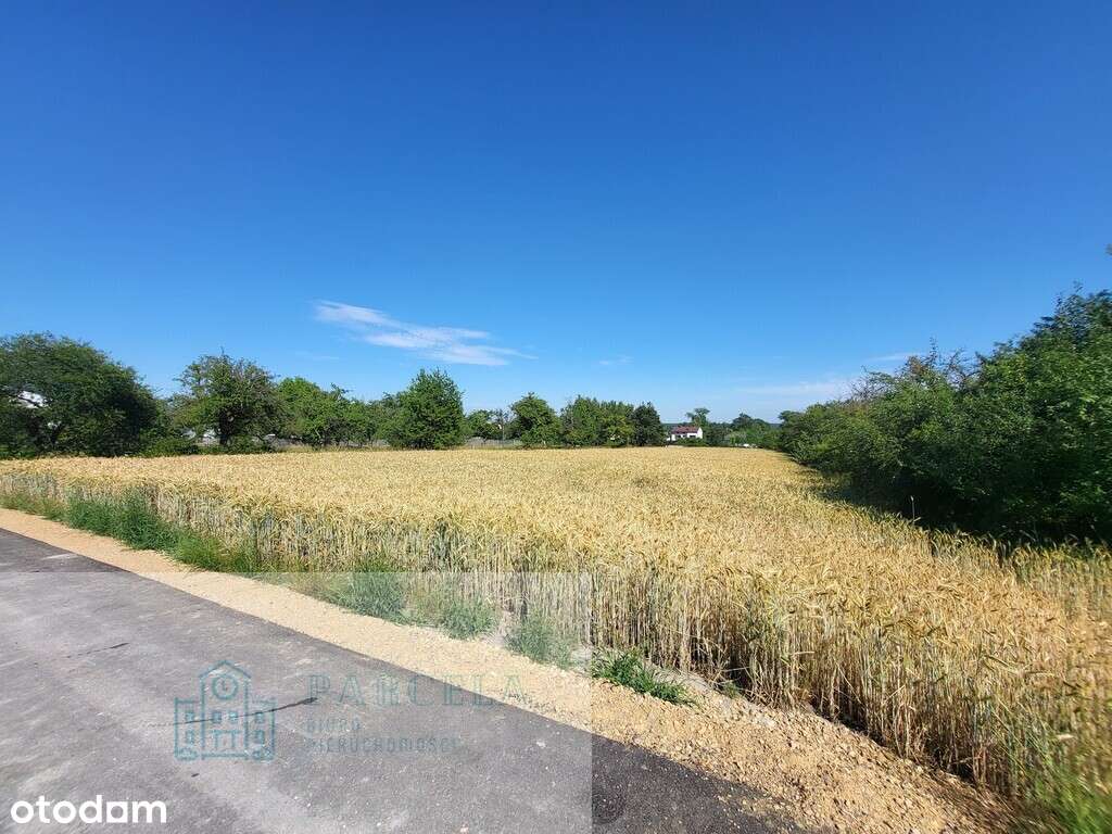 Duża działka 10 km od Radomska - Pełny obrazek: 5/6