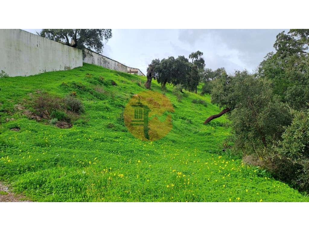 Terreno com 19990 m2 com área total de construção de 1587.62m2 - Grande imagem: 4/17