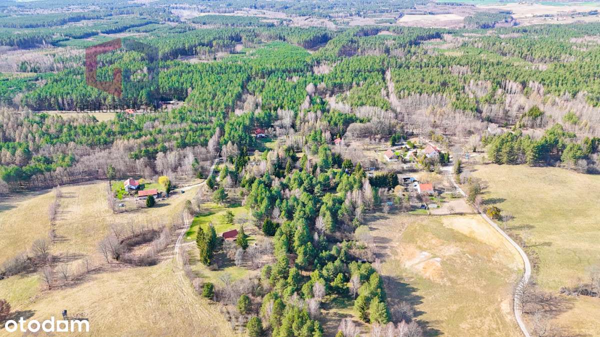 Działka 15 min od Olsztyna – cisza, lasy, media! - Pełny obrazek: 2/11