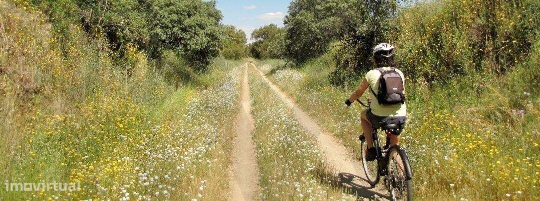 Herdade da Lameira - Country Hotel, Alter Chão, Alentejo, Portalegre,-47