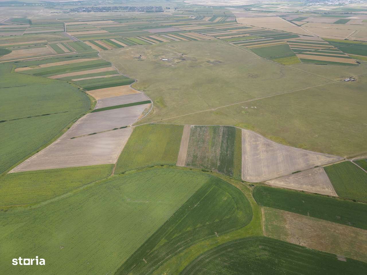 Teren arabil de 40 hectare în Zarand - Imagine principală: 4/4