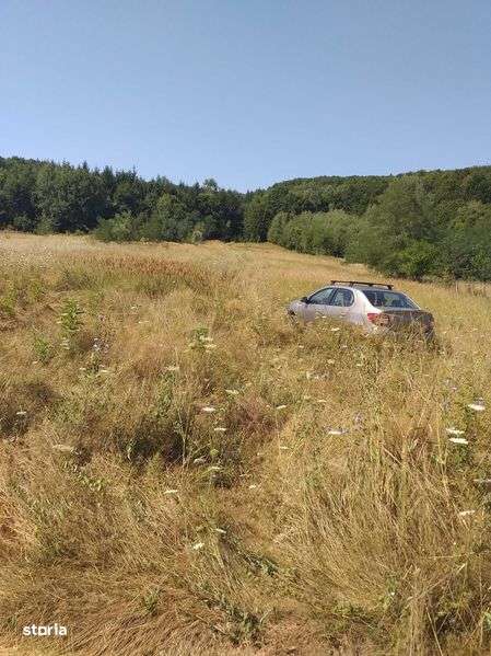 Vând teren Budeasa Mică - Imagine principală: 2/5