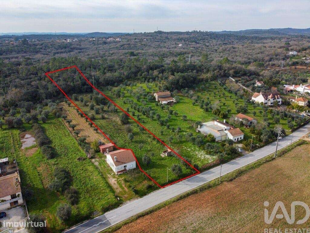 Terreno em Areias e Pias de 5800,00 m2 - Grande imagem: 3/30