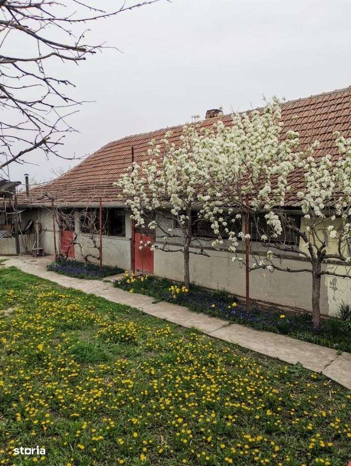 Casa de vanzare Variasu Mare, Arad - Imagine principală: 2/11