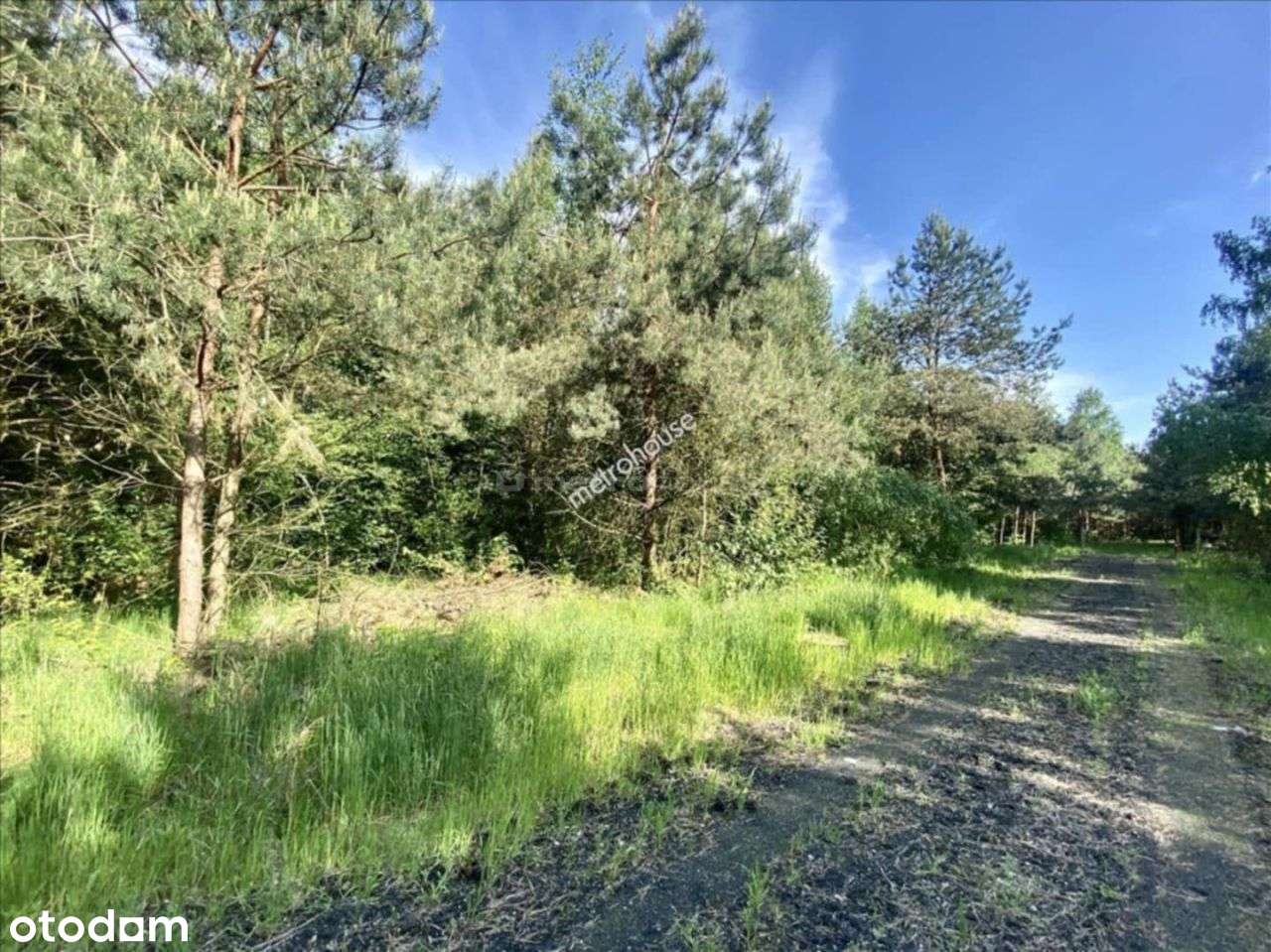 Działka, 800 m², Kownaciska - Pełny obrazek: 5/11