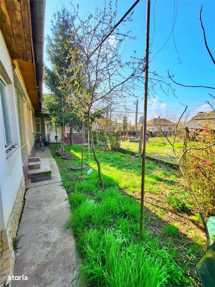 Casa  Saniob - 2000 mp teren-2