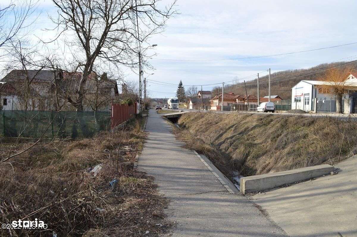 Valea Ursului - DN 7, Teren Stradal 2744 mp - Imagine principală: 4/14