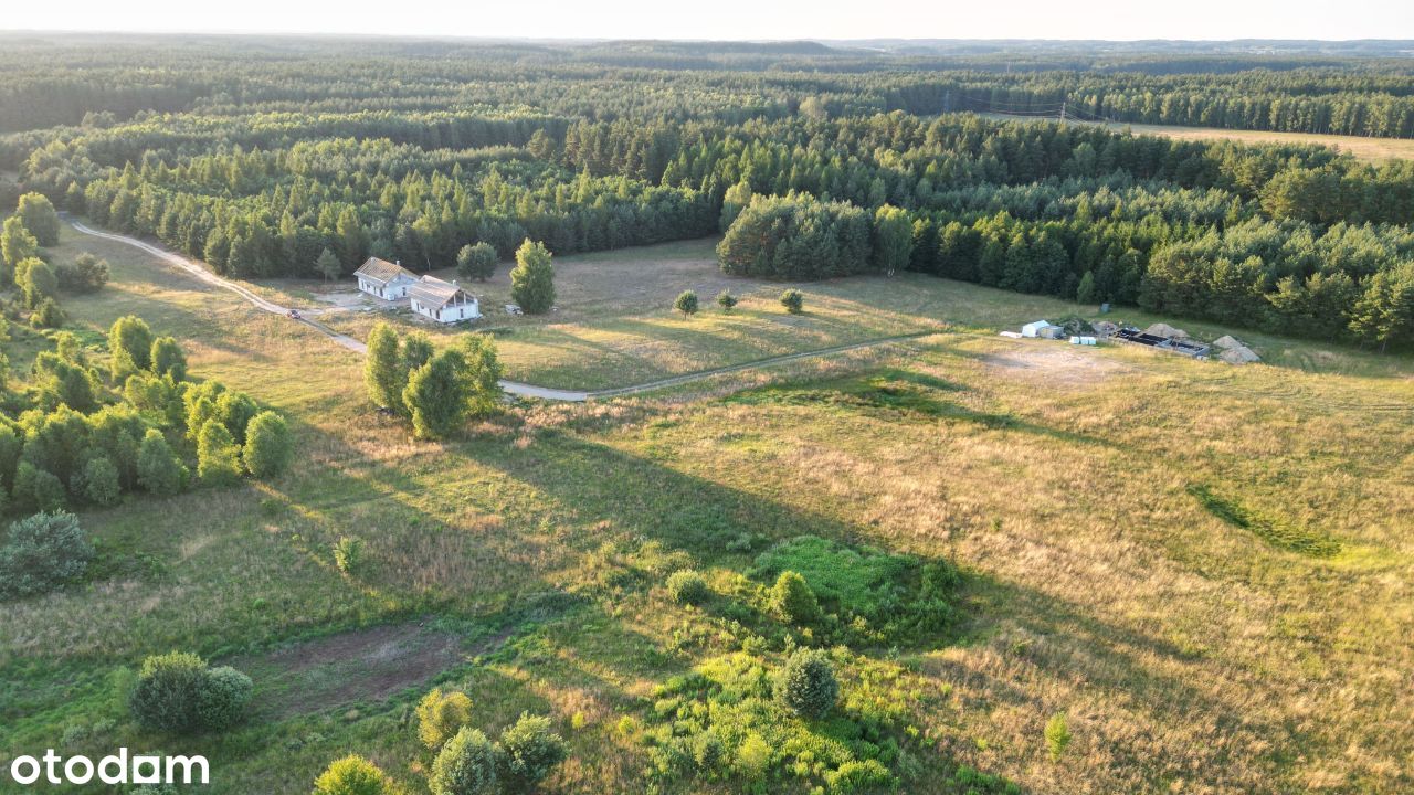 Piękne działki przy LESIE - Gietrzwałd / Woryty