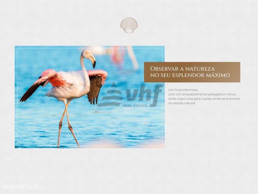 Terreno a 500mts da praia em zona tranquila - 2,5Km Torreira-10