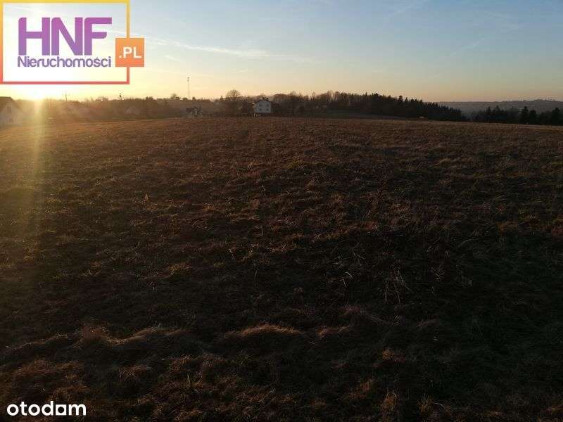 Działka w Koniuszowej 39ar - Pełny obrazek: 5/6