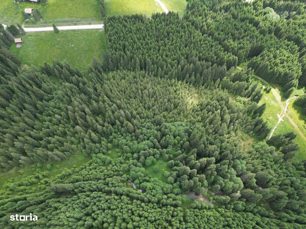 Teren extravilan 5000 MP Comandau - Imagine principală: 5/13