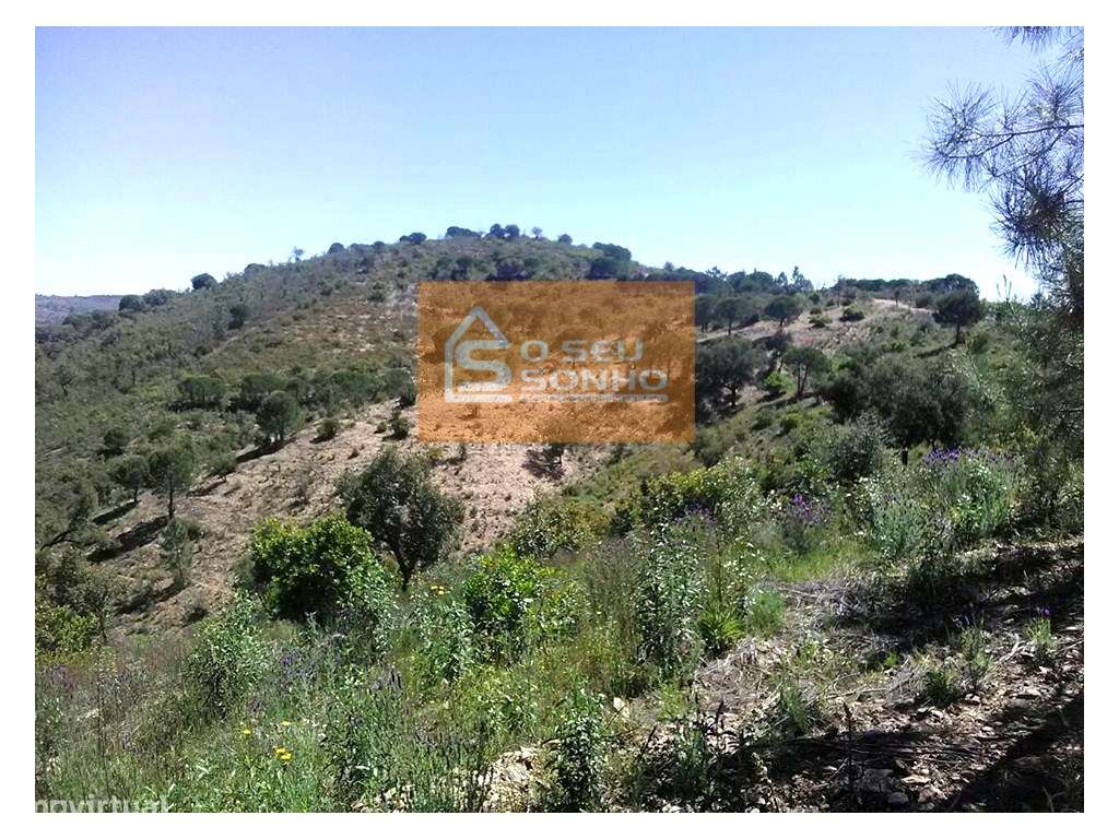 Terreno Rústico no Javali - Grande imagem: 2/6