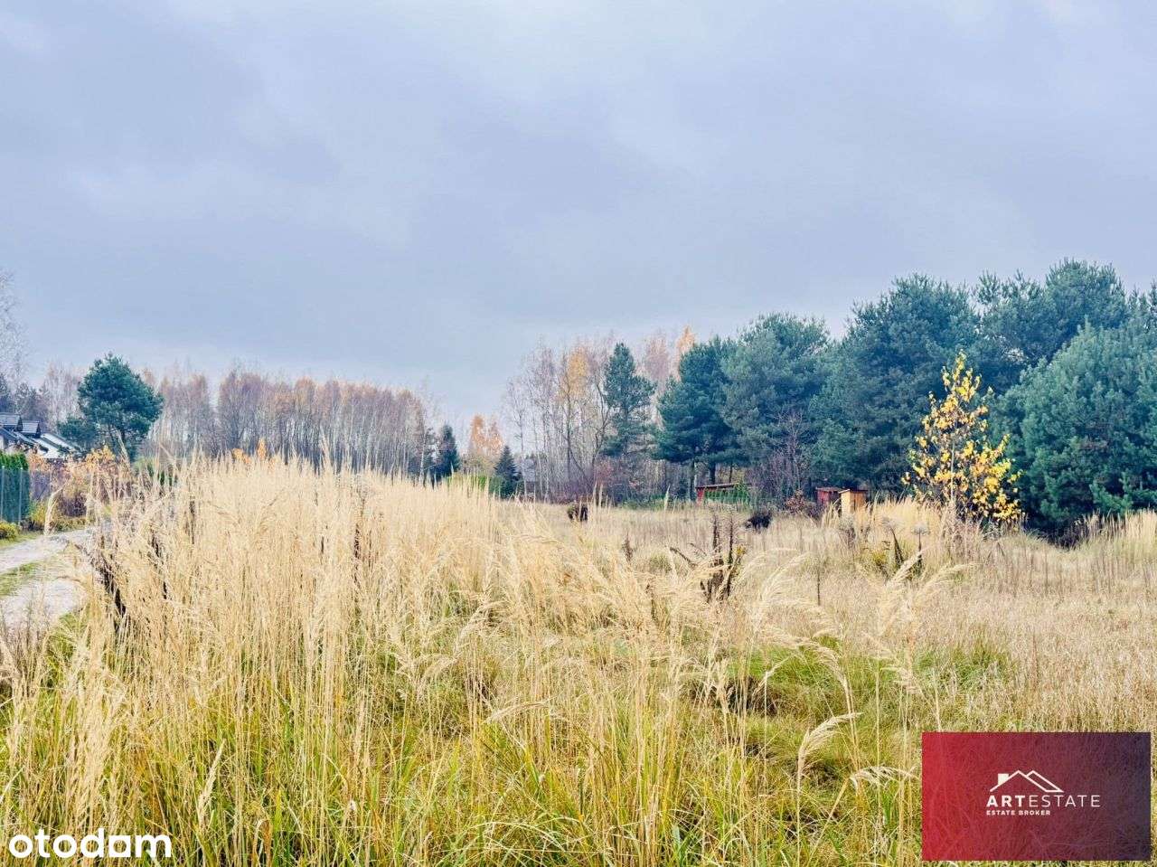 Działka1024m2 blisko lasu i parków Rosanów - Pełny obrazek: 4/20