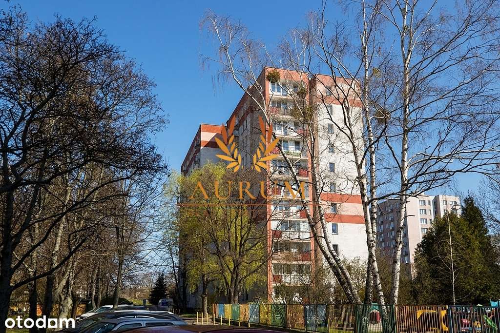 2 nieprzechodnie pokoje_widok na korony drzew-17