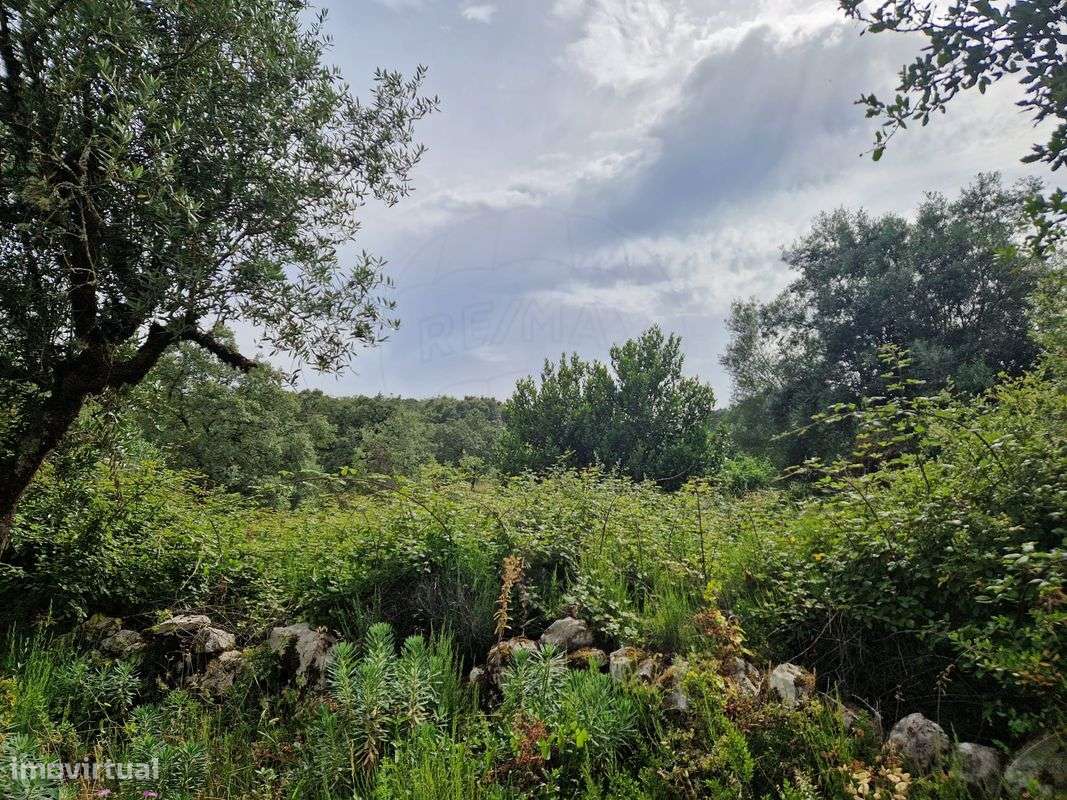 Terreno  para venda - Grande imagem: 5/6