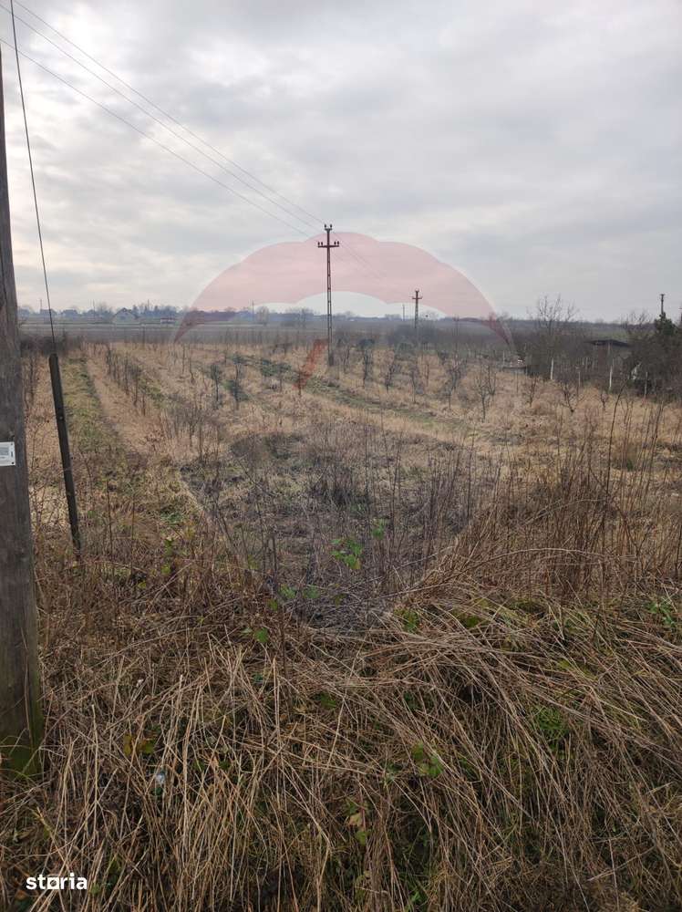 Teren 2.341 mp Uileacu de Munte front 25 ml la drum asfaltat - Imagine principală: 5/16