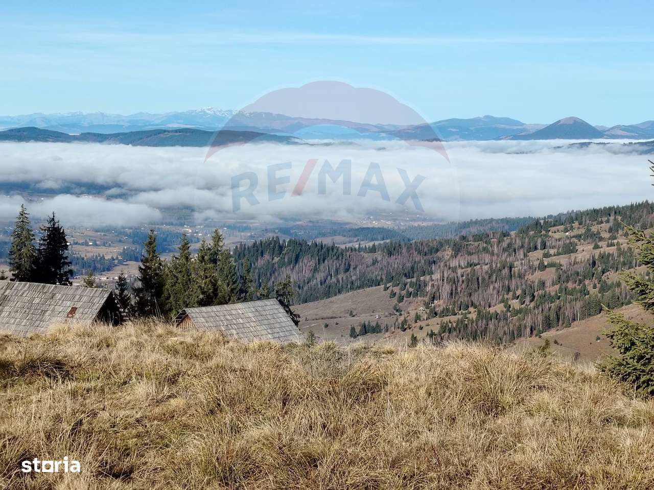 Teren 31,461mp Panaci / Prelungirea Ialovita-10