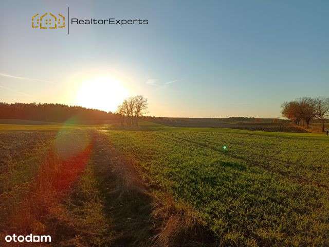 Bez pozwolenia na budowę – postaw domki i zarabiaj - Pełny obrazek: 5/6