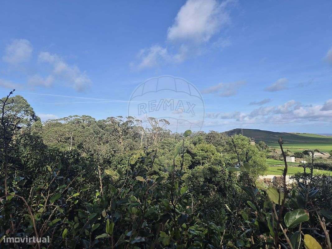 Moradia T2 para venda - Grande imagem: 4/19