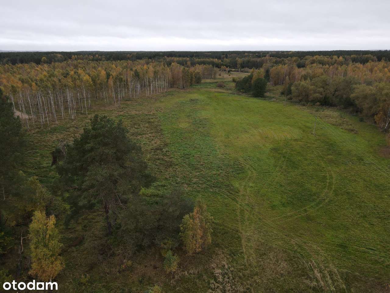 Leśny Zakątek Skorupki - działka pod lasem - SWJM - odlicz VAT 23%-5