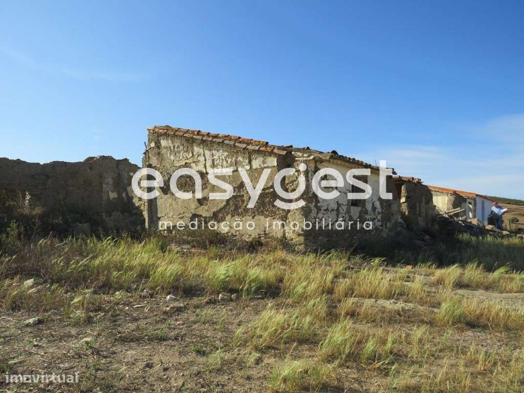 Monte em ruinas com 14 hectares em Entradas concelho Castro Verde - Grande imagem: 4/34