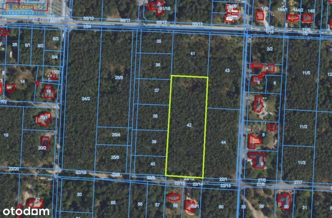 Działka leśna 7 388 m² z potencjałem | Wesoła-3