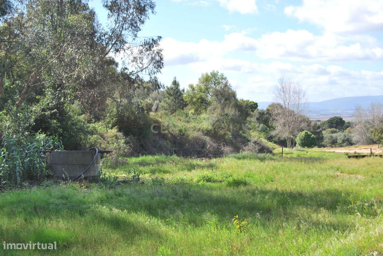 Terreno rústico 28200m2 em Vale do Junco, Chamusca, Golegã-33