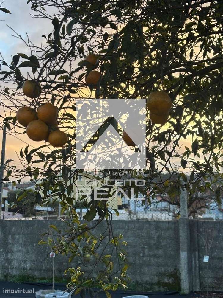 Moradia Remodelada c/ amplo jardim e casa anexa -  Pronta a habitar (A - Grande imagem: 4/31