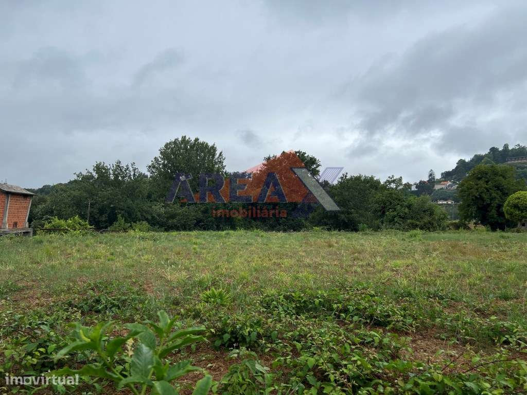 Terreno com 3.900m2, perto de Oliveira de Azeméis-4
