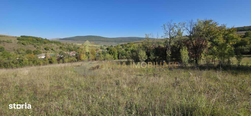 TEREN INTRAVILAN 11000 MP - Imagine principală: 2/9