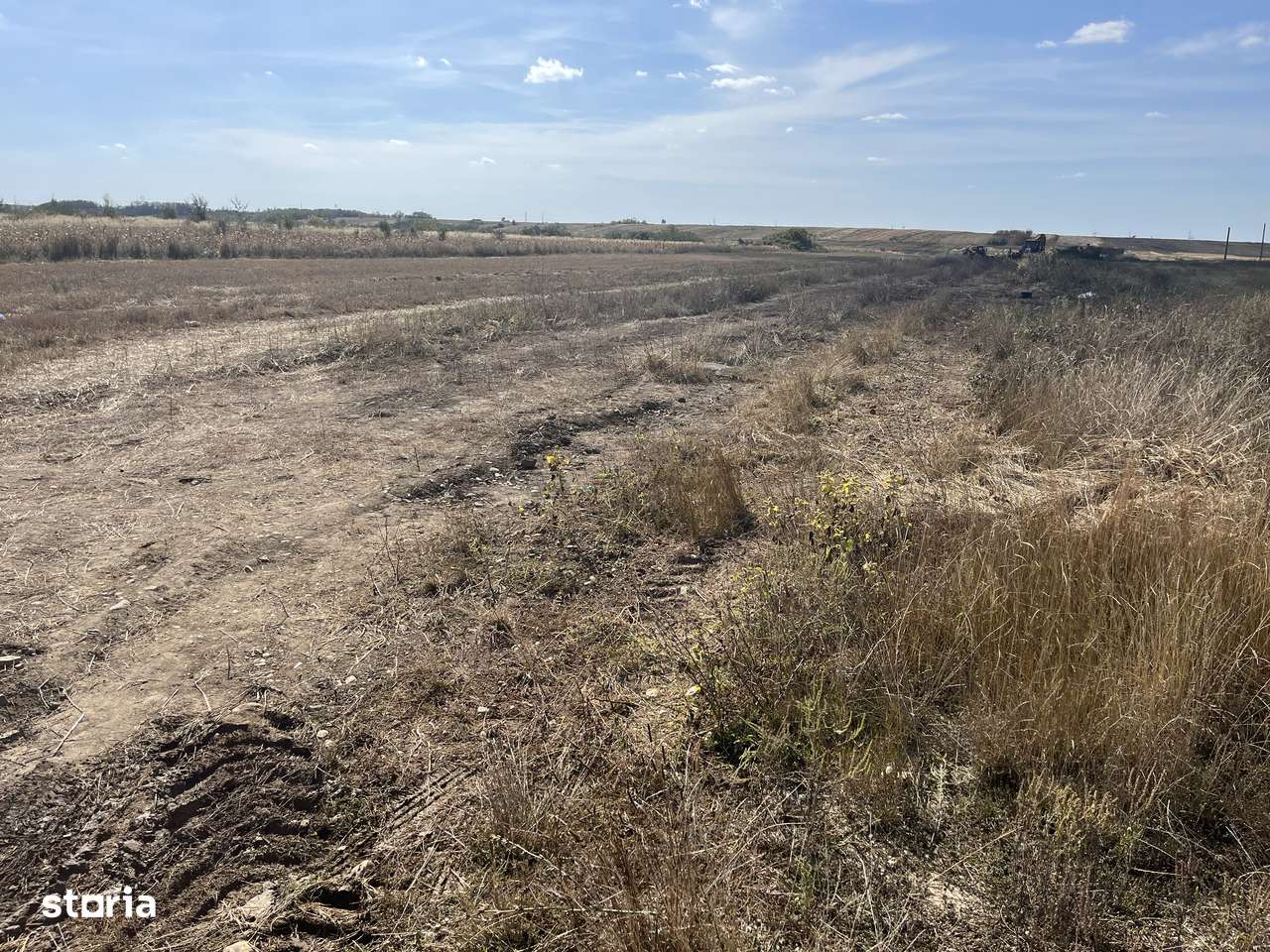 Teren Bradu 470 mp-2