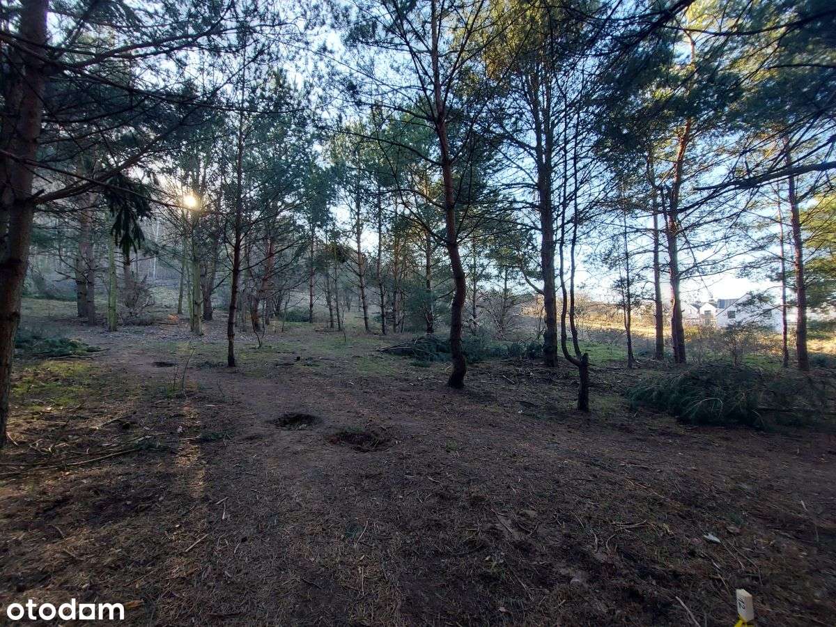 Atrakcyjna działka budowlana w Rumi-11