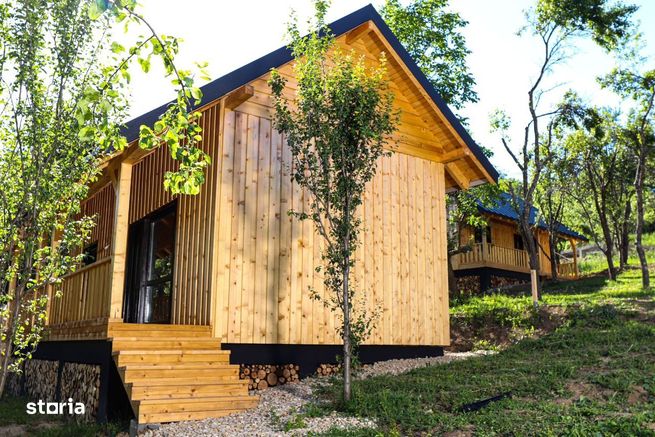 Cabane de vis în Nucșoara, Argeș-3