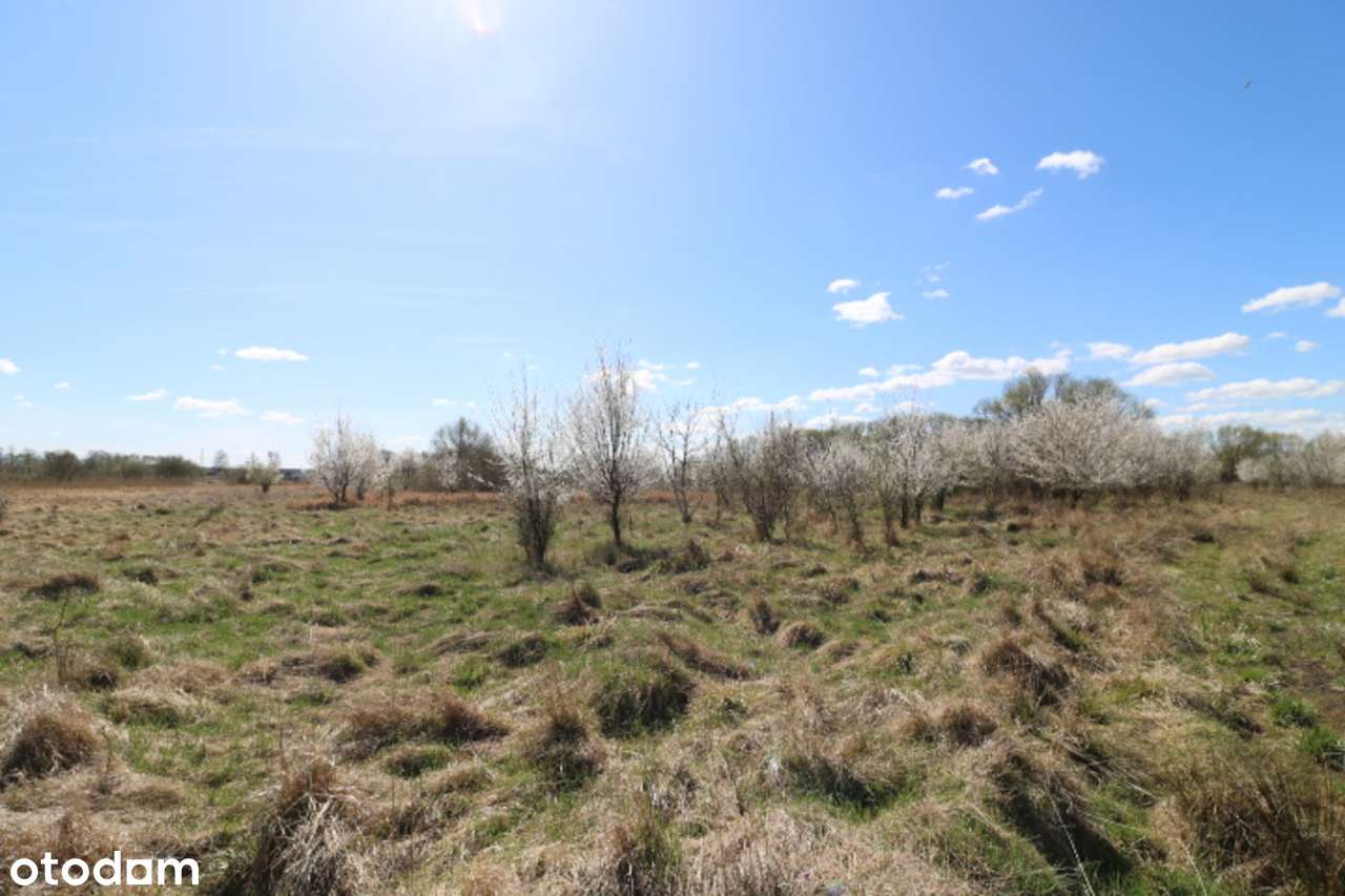 Działki w Słubicach – ul. Jastrzębia-13