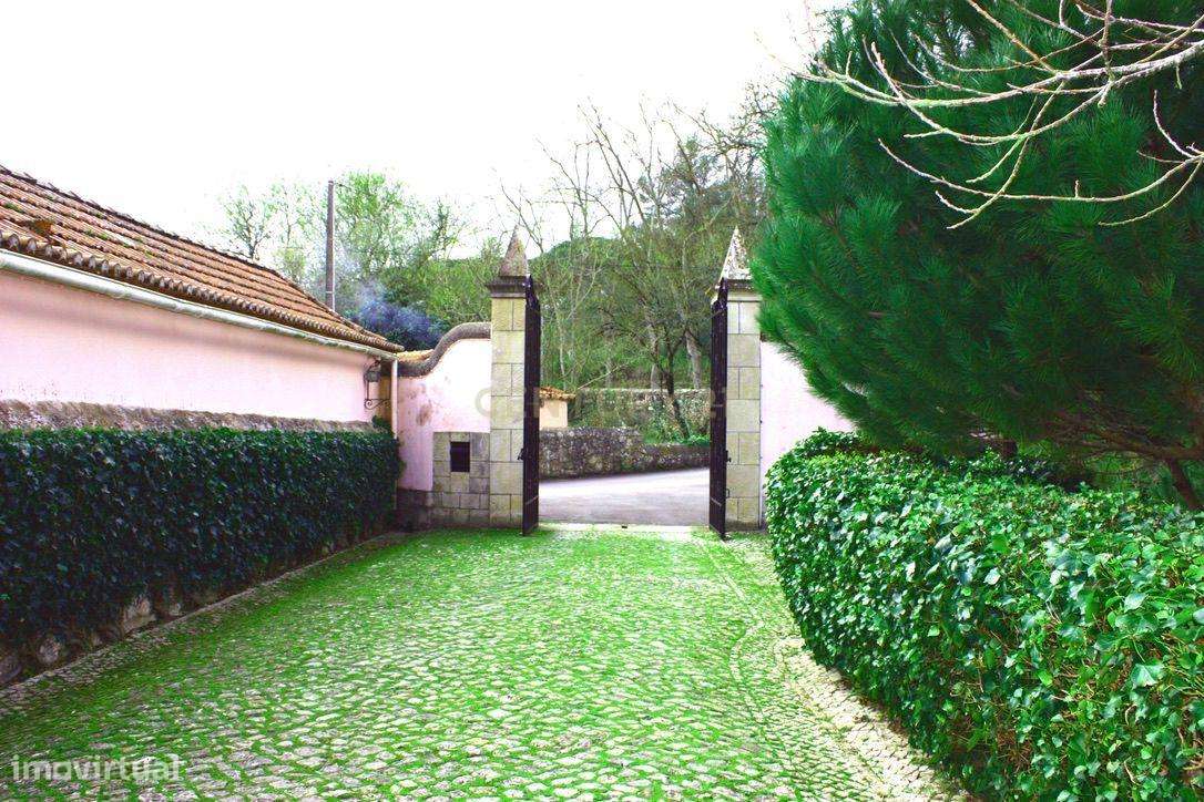 Encantadora Quinta em Sintra com 11 hectares– Uma Propriedade de Histó - Grande imagem: 2/24