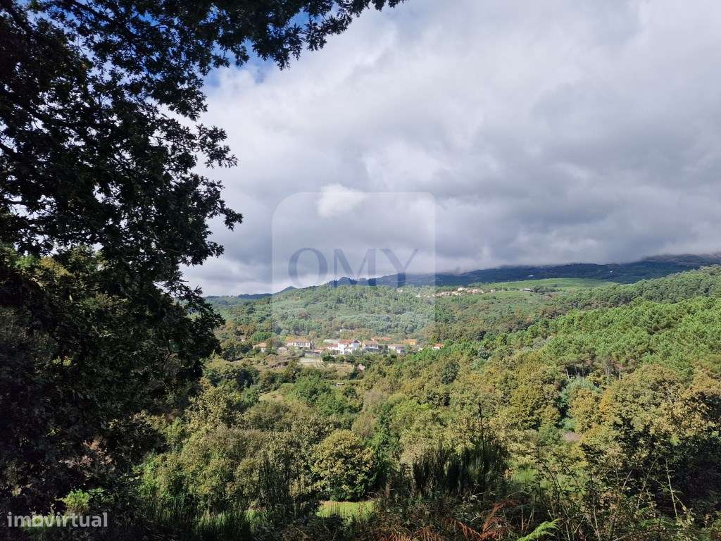 Terreno de 2.000 m2 em Adoufe, Vila Real - Grande imagem: 2/7