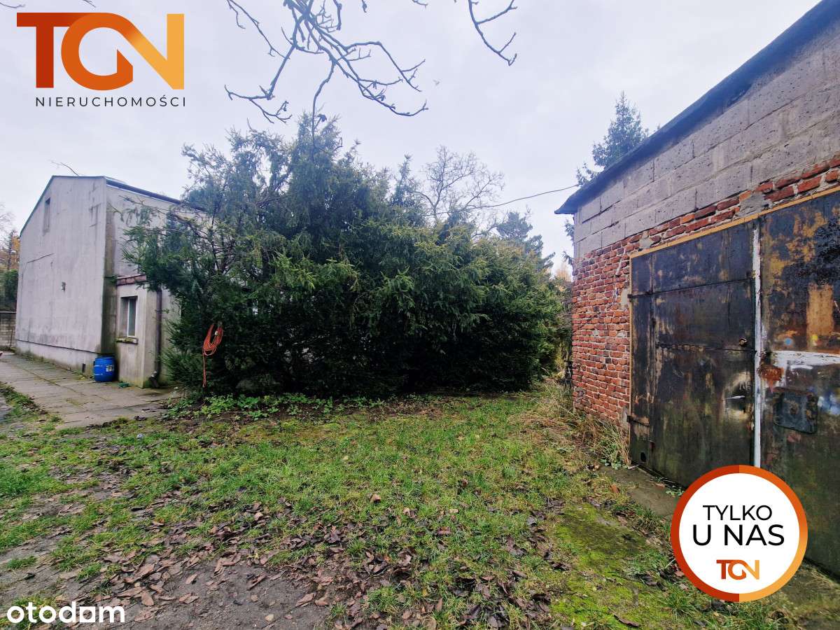 Działka inwestycyjna na Rogach - Pełny obrazek: 4/4