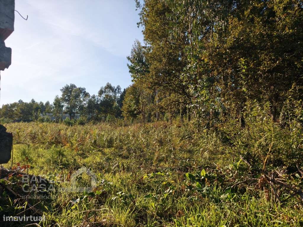 Excelente Oportunidade em Forjães - Esposende: Terreno de Construçã...-5