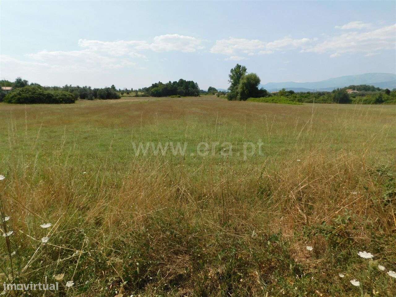 Terreno Rústico / Fundão, Valverde - Grande imagem: 5/5