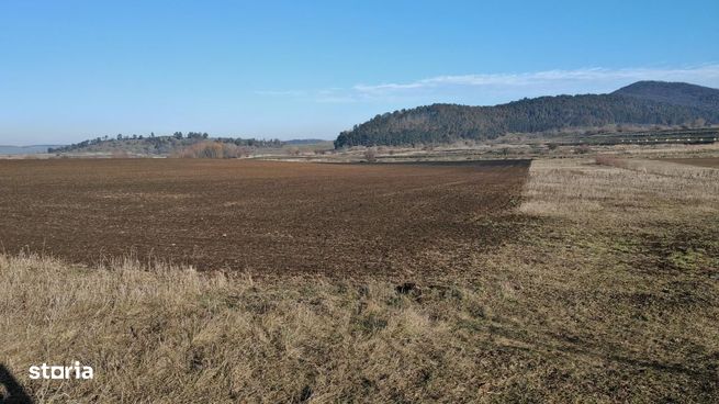 Teren intravilan,428 mp,SANPETRU iesirea spre BOD, utilitati.-4