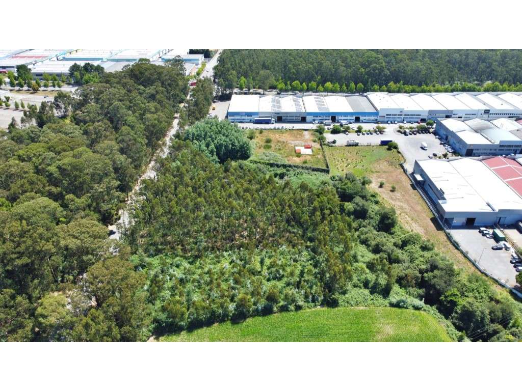 Terreno para 11 armazéns na Zona Industrial da Maia - Grande imagem: 4/5