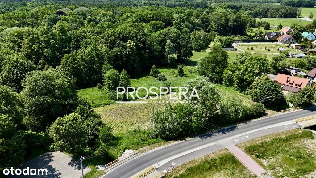 Działka w centrum Borowej/ asfalt, media - Pełny obrazek: 4/8