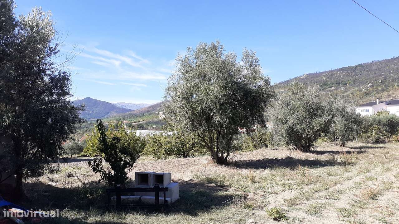 Terreno  Venda em Gonçalo,Guarda-7