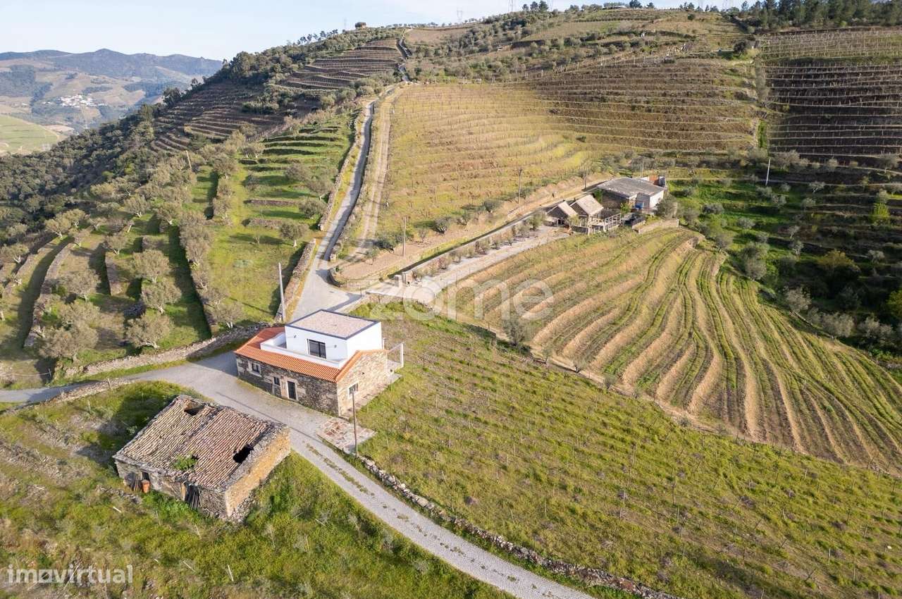 Quinta Com Vista Sobre O Douro
