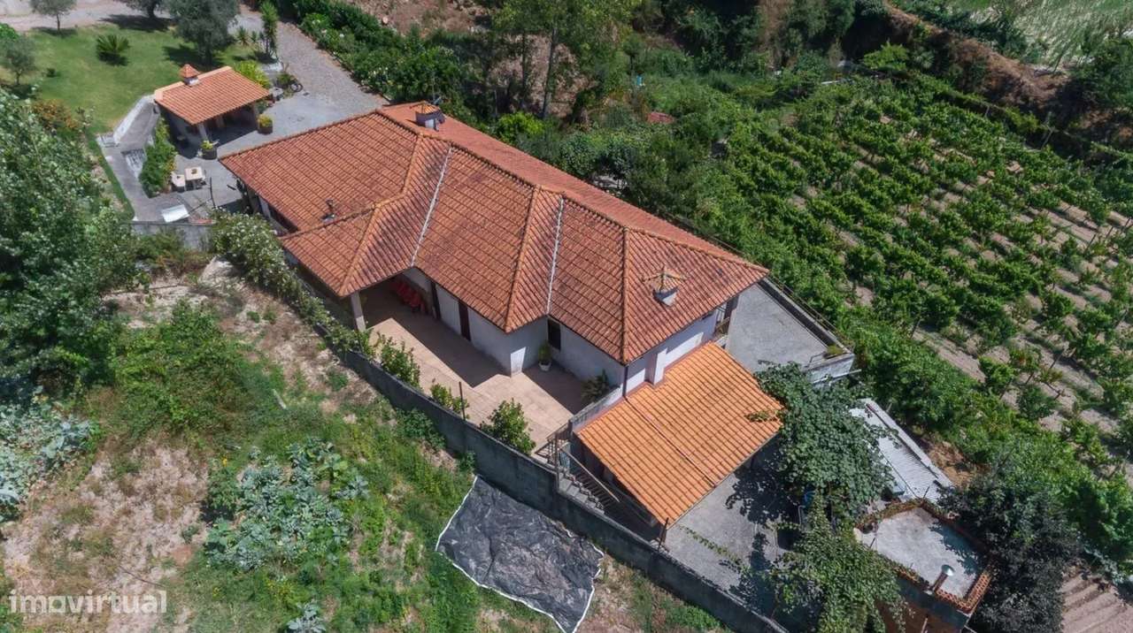 Quinta com vinha e Produção de vinhos em Freixo de Baixo Amarante - Grande imagem: 2/12