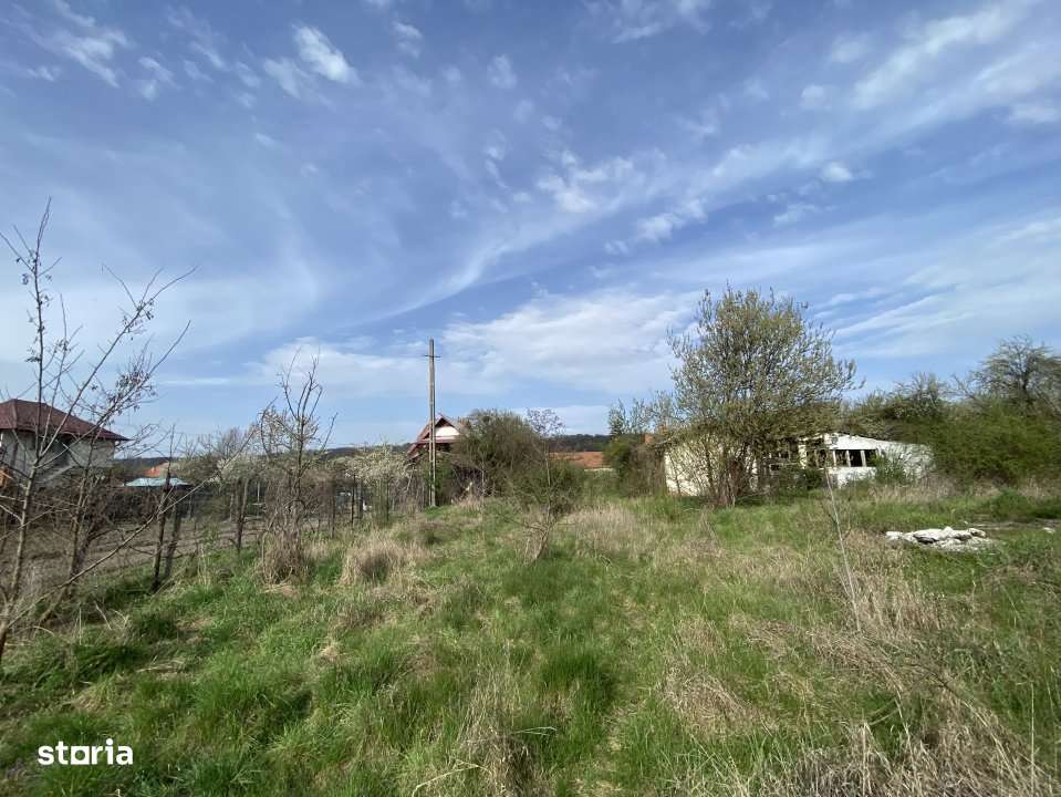 Teren intravilan 1.400 mp - Schitu Golesti AG - Imagine principală: 5/8