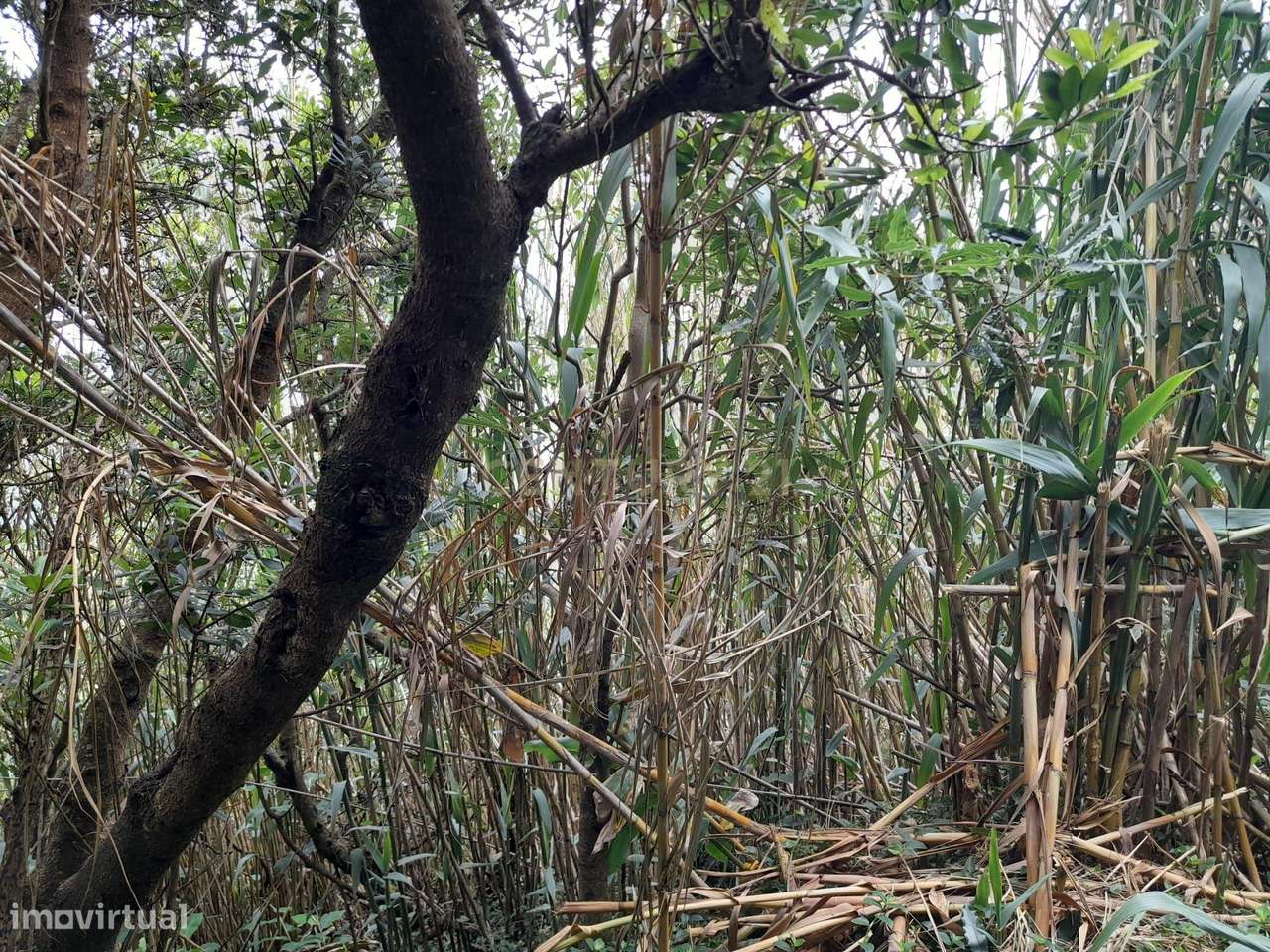 Terreno [ Ladeira ] - Grande imagem: 4/11