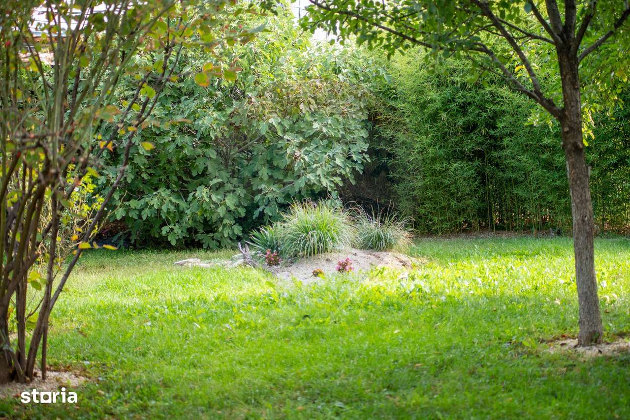 Casă / Vilă, 10 cam., potrivit azil batrani sau clinica - Imagine principală: 5/20