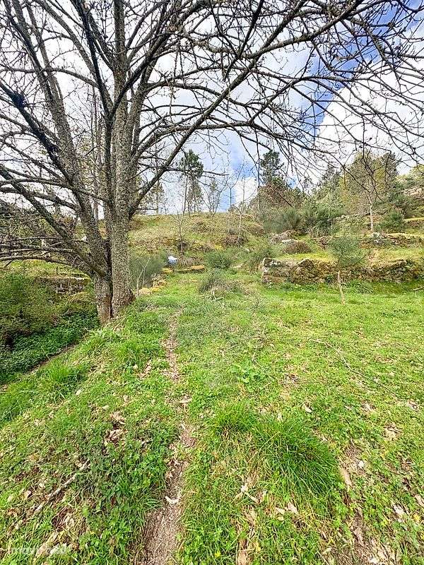 Terreno  para venda - Grande imagem: 4/7